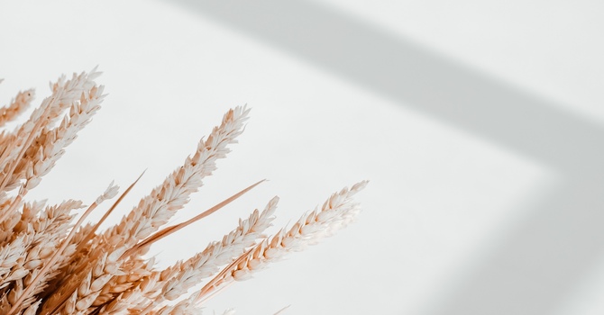 Traitements de la peau au laser